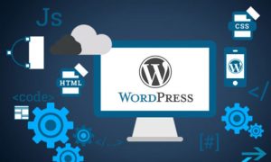 Wordpress Web Development